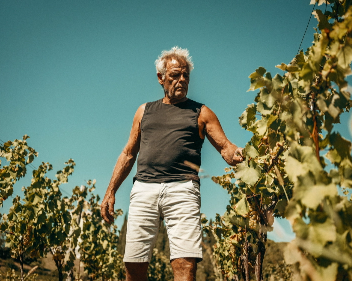 Dario Prinčič Winery